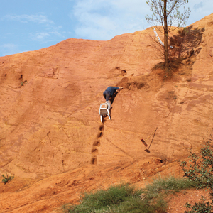 Everything for everyone