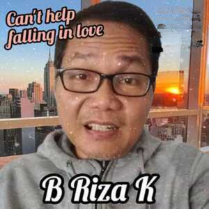 Can't Help Falling in Love (Cover)