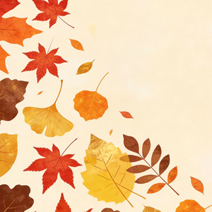 日历撕到最后一页秋