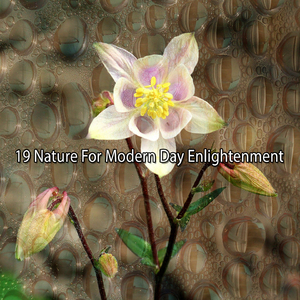 提升到更高的存在