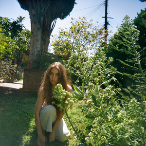 Everything Everywhere at Once