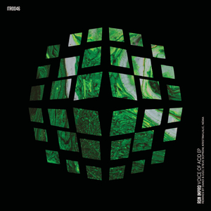 Voice Of Acid (Dandi & Ugo, Steve Soprani Remix)