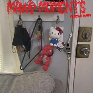 MAWD MOMENTS!!!!! (feat. tstan james)