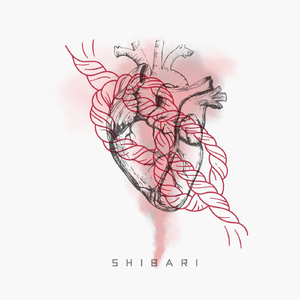 Shibari