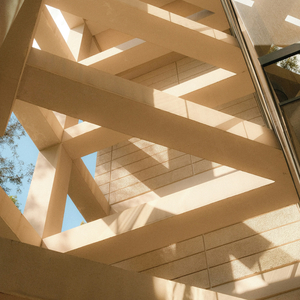 햇살이 내리는 자리