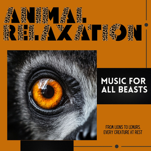 Music for All Beasts: 417 Hz Harmonic Tone