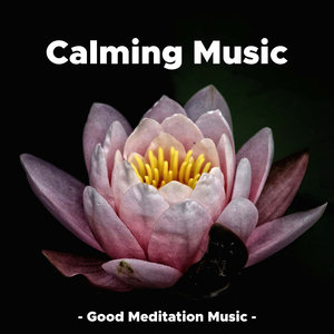 Relaxing Instrumental Music