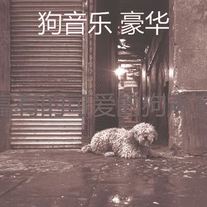 抚慰的可爱的狗回忆