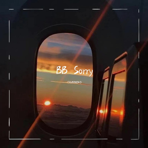 BB Sorry