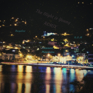 The Night Is Young (Remix) [feat. Prominent Phenomena]
