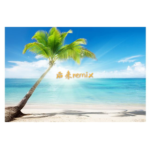 max one / 施人诚 - 后来remix（TX remix）