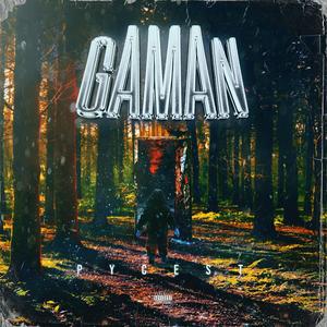 gAMAn