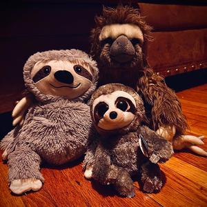 dark side of the moon album