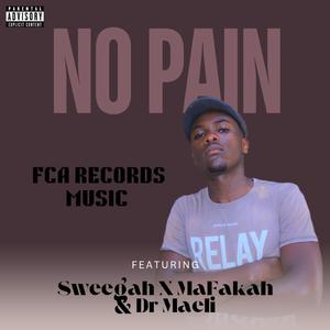 No Pain Hitt (feat. Sweggah Nator, Fakah & Dr Maeli)