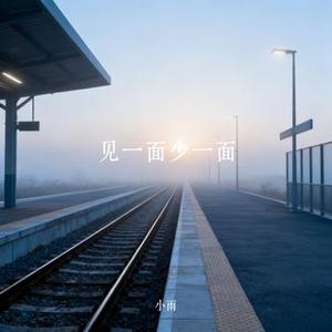 见一面少一面 (Cover 洋澜一)