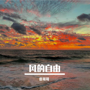 风的自由