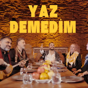 Yaz Demedim