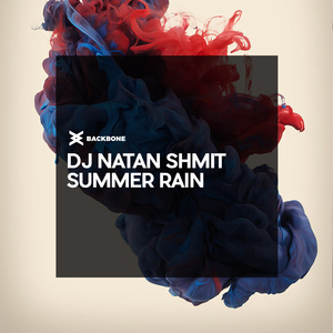 Summer Rain (Radio Edit)