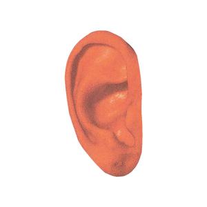 Pilot (feat. Quinfinity)