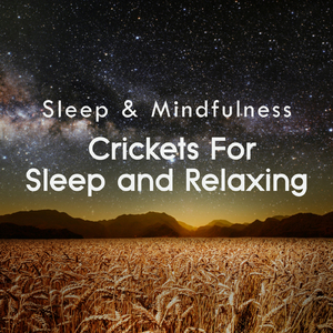 Crickets Sleep and Relaxing Sounds, Pt. 107