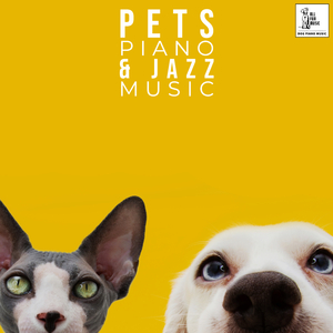 A Pets Wa