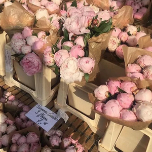 Quxumda San（在我梦里）