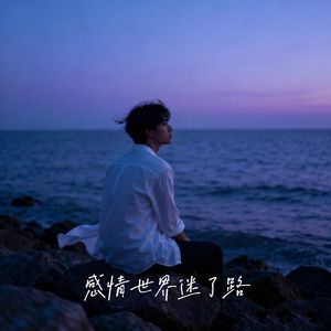 感情世界迷了路