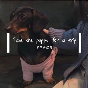 Take the puppy for a trip