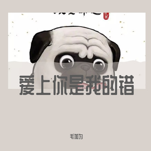 爱上你是我的错