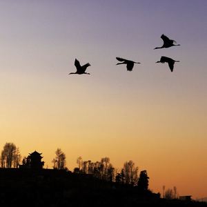 张挥《我在另一个地球等你》