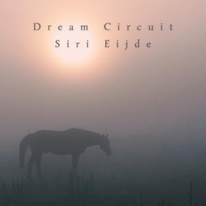 Dream Circuit