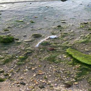 so they call it (feat. Jack Rabbit)