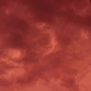 La Neta (Demo)