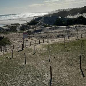 Anthem (feat. Vizcor)