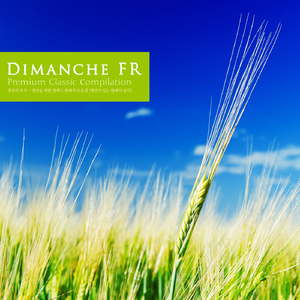 Brandenbrug Concerto No.4 In G Major BWV.1049 - III. Presto