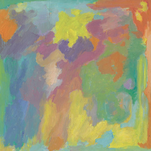 Birds riding On Top Of Trucks