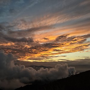 避风港