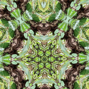 A puzzle of emotions that tugs at the heart