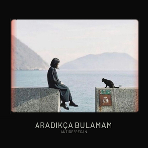 Aradıkça Bulamam