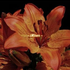 iRises