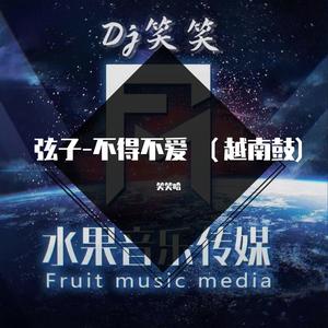 弦子-不得不爱 （越南鼓)（笑笑哈 remix）