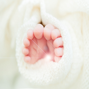 캐논변주곡 (아기 자장가)