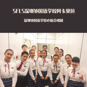 朴树-平凡之路（深圳外国语学校心航合唱团 remix）