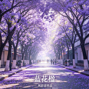 蓝花楹.wav