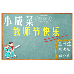 小咸菜正正式式版