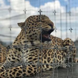 Umbrella（DJ版0.8x）