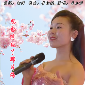 思念跨越了那片海  抒情版（伴奏）