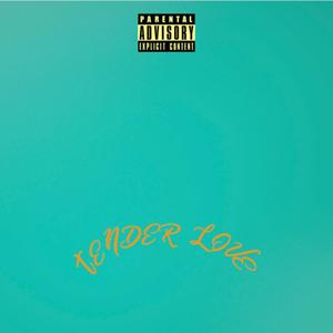 Tender Love