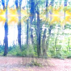 my head is a prison and i can not escape