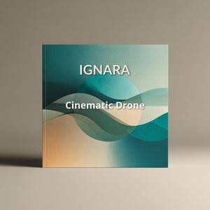 Cinematic Drone